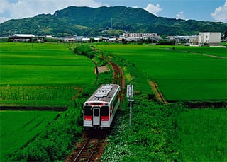 青田の中を走るＭＲ列車（中村　一文）